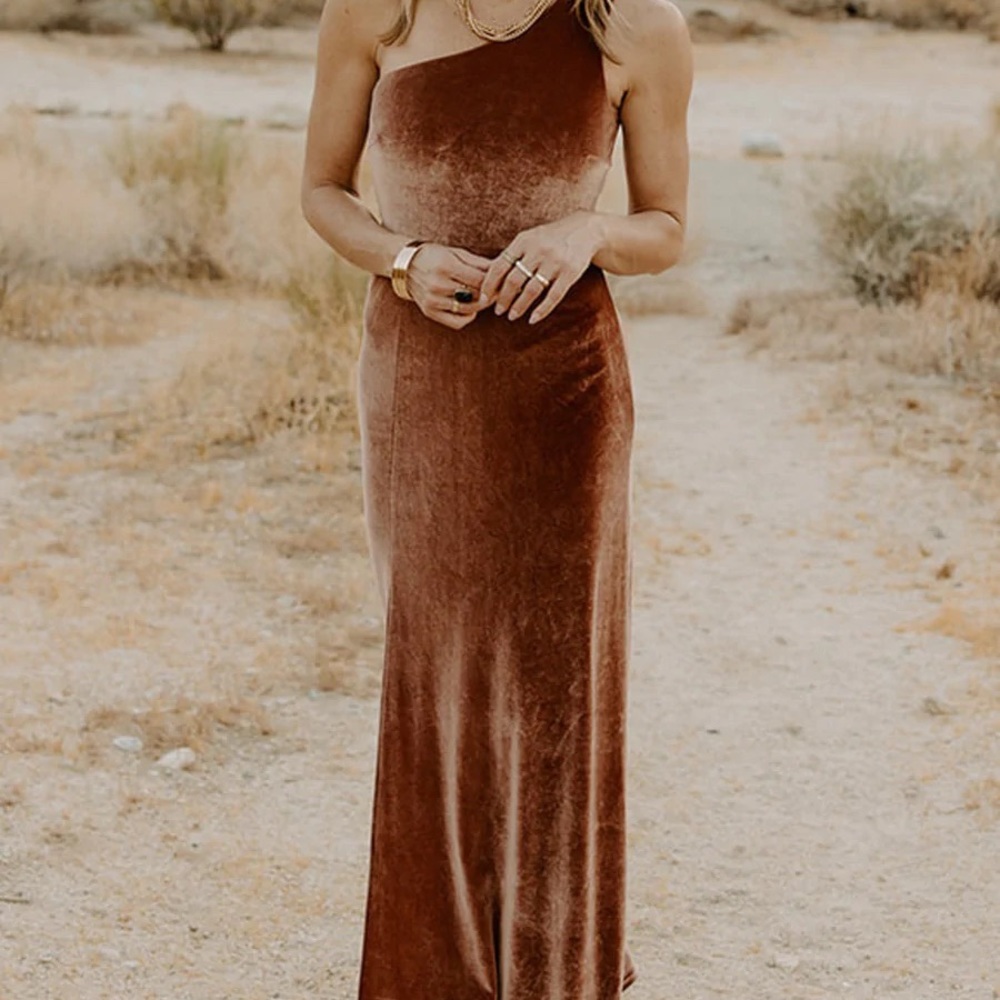Never worn Baltic Born
Tatiana Velvet One Shoulder Maxi Dress | Bronze